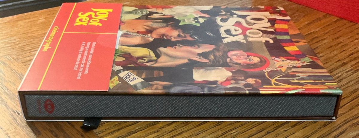 Joy of Sex (Limited Edition) USED