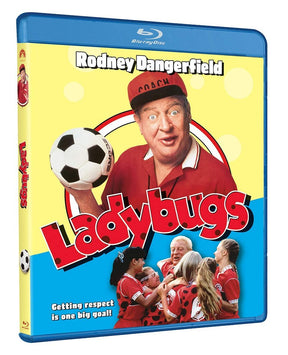 Ladybugs USED
