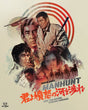 Manhunt (Toy Robot)
