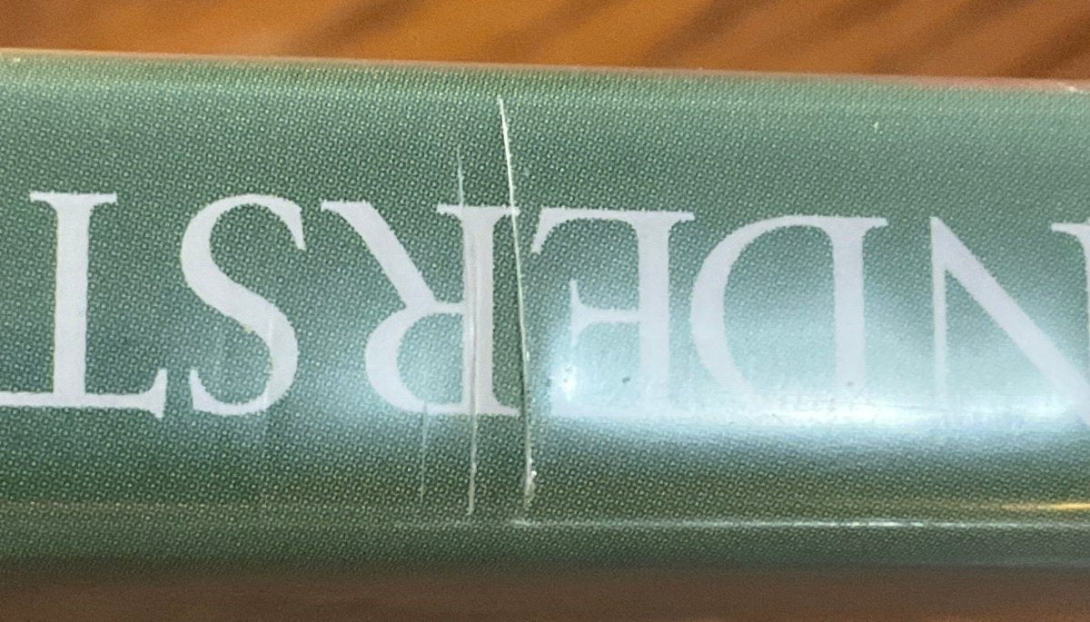 Misunderstood (Limited Edition) USED - Used Blu - Ray