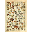 Mushrooms - Shroom ID Chart Poster PICKUP ONLY - Posters/Stickers/Art
