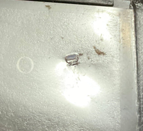 Nights of Cabiria (49) (DVD) USED - Used DVD