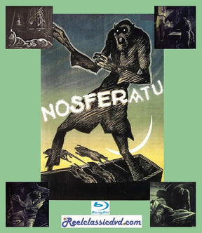 Nosferatu / Terror of Dracula - New Blu - Ray