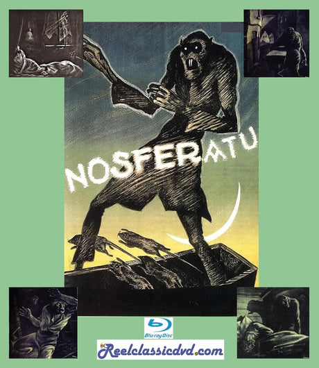 Nosferatu / Terror of Dracula - New Blu - Ray