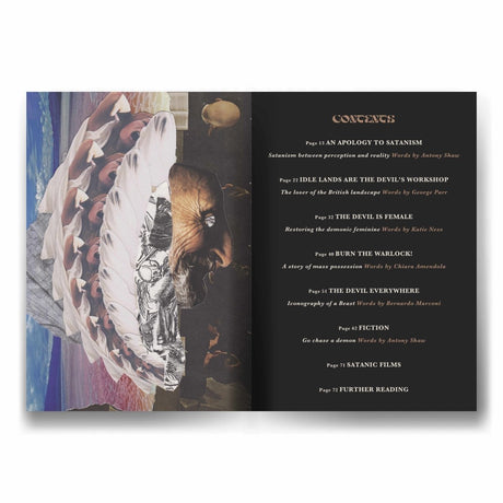 Occulture Volume Two: The Devil's Party - Books