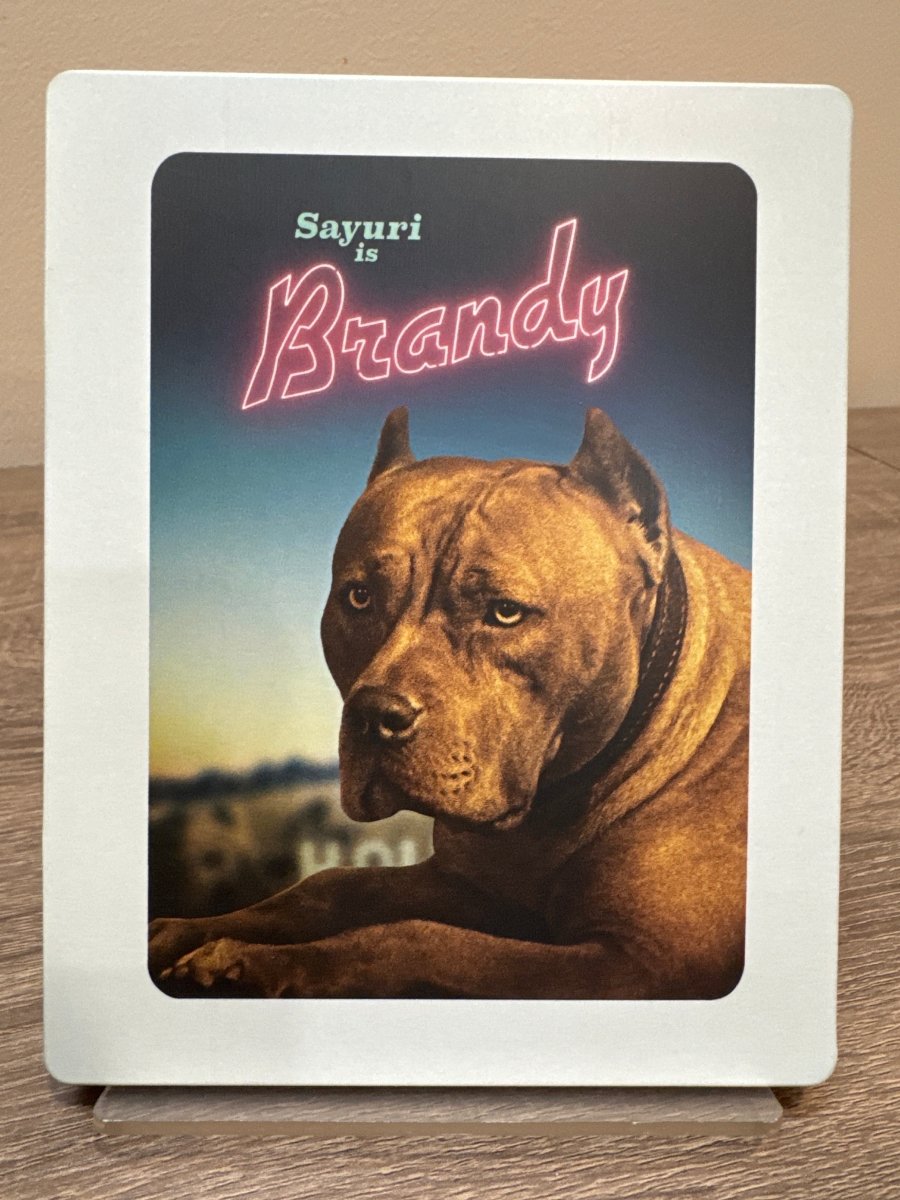 Once Upon a Time in... Hollywood (4K UHD, Steelbook) USED
