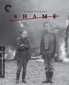 Shame (#961) USED