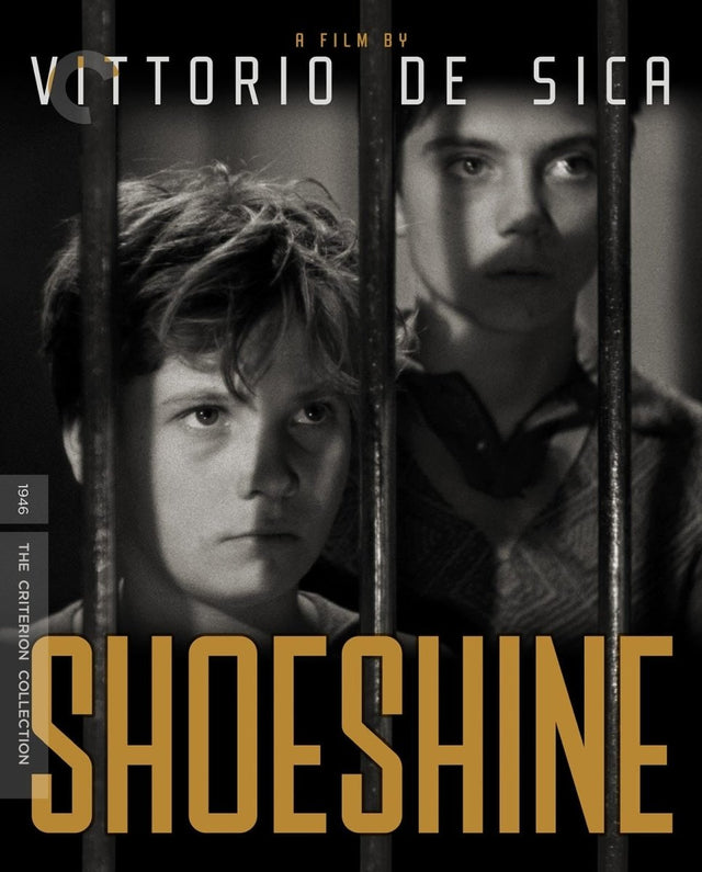 Shoeshine (4K UHD, #1272)