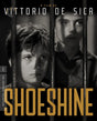 Shoeshine (4K UHD, #1272)