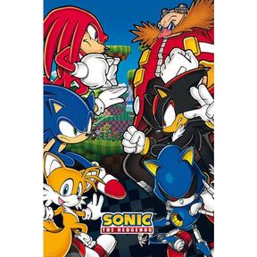 Sonic vs. Dr. Eggman Poster PICKUP ONLY - Posters/Stickers/Art