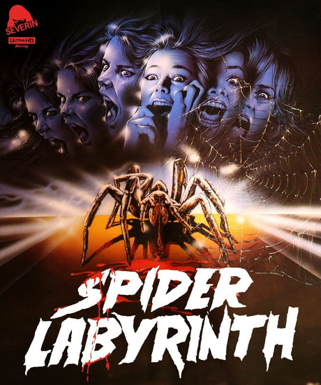 Spider Labyrinth (4K UHD)