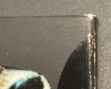 Splatter University w/SLIP USED