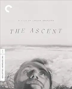 The Ascent (#1063) USED