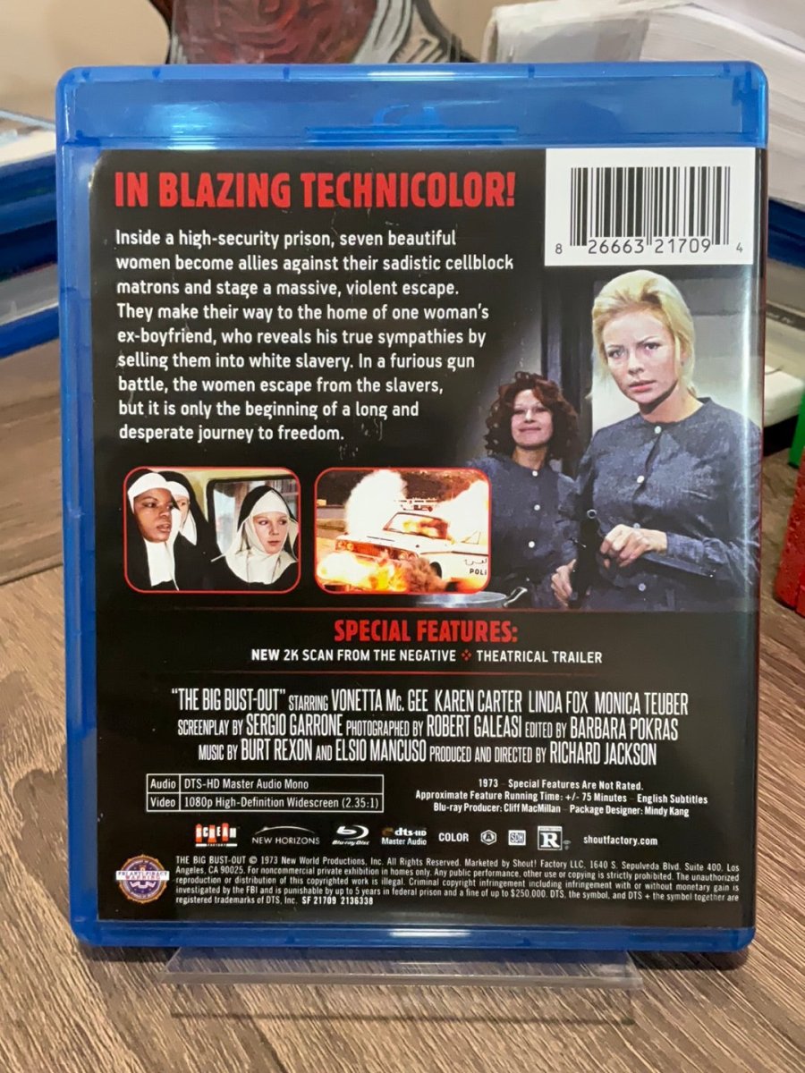 The Big Bust Out (1973) USED