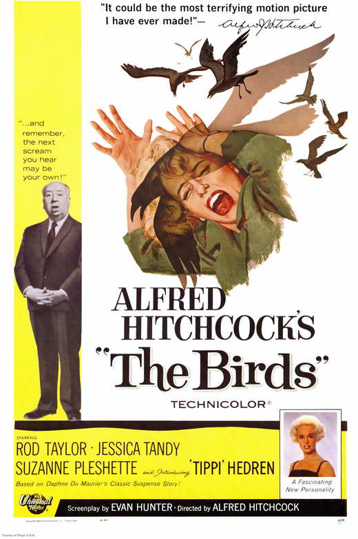 The Birds Poster 11x17 - Posters/Stickers/Art