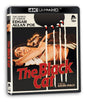 The Black Cat (1981) (4K UHD) - New 4K UHD