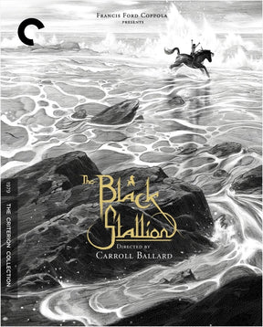 The Black Stallion (765) - New Blu - Ray