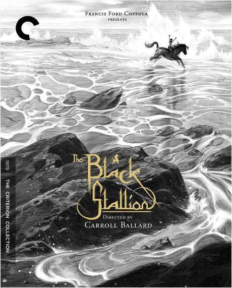 The Black Stallion (765) - New Blu - Ray