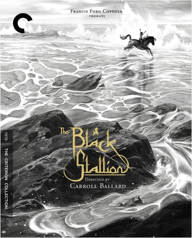 The Black Stallion (765) - New Blu - Ray