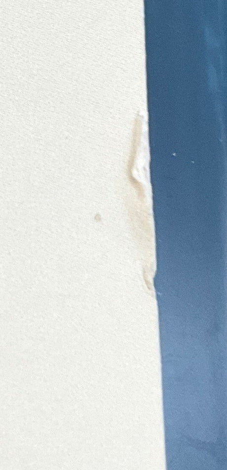 The Burmese Harp (REGION B) w/BOOKLET USED - Used Blu - Ray