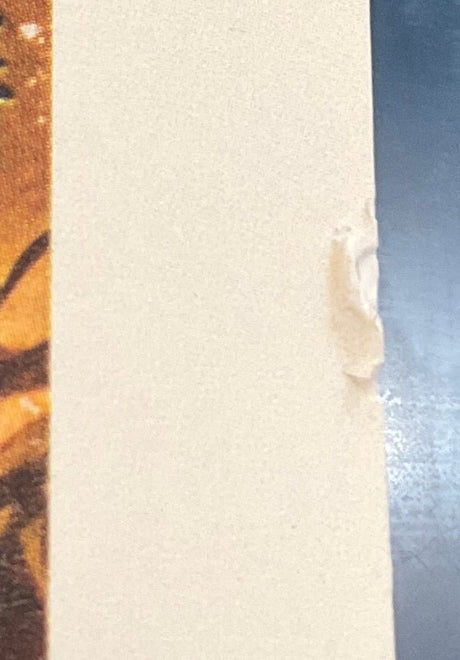 The Burmese Harp (REGION B) w/BOOKLET USED - Used Blu - Ray