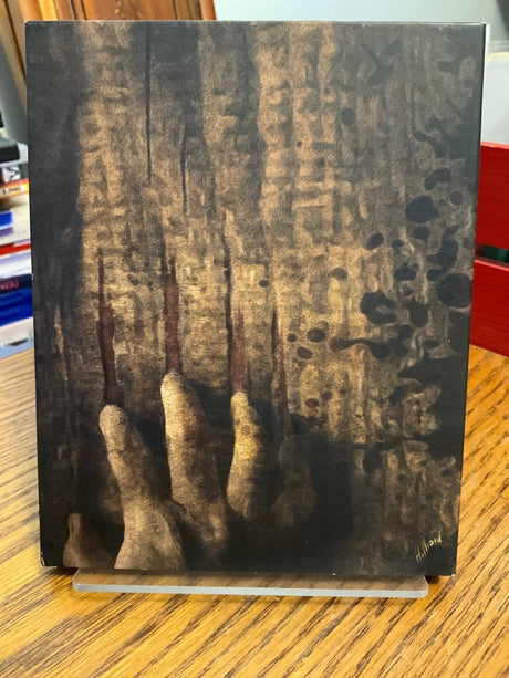 The Fear w/SLIP USED - Used Blu - Ray