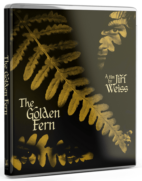The Golden Fern (Standard Edition) - New Blu - Ray
