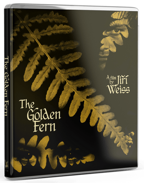 The Golden Fern (Standard Edition)