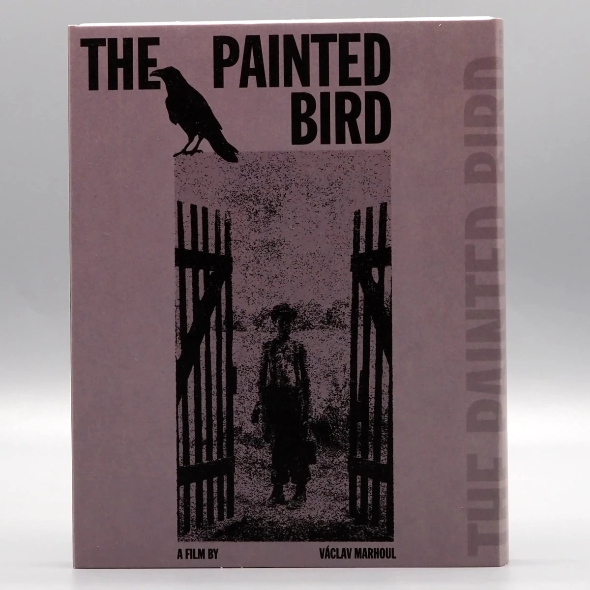 The Painted Bird w/SLIP