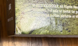 The Sadness (Raven Banner Special Edition) w/SLIP USED