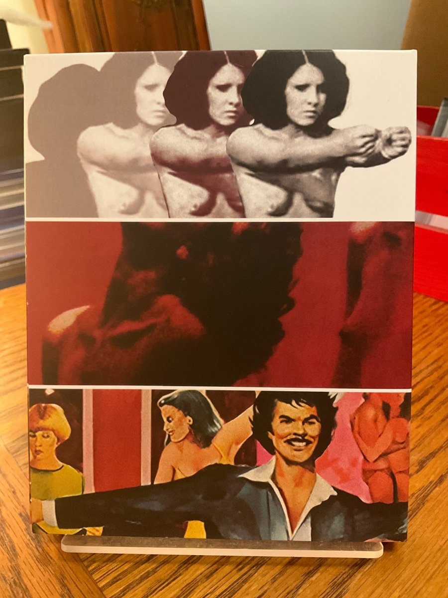 The Vixens of Kung Fu + Night Bird + Sunny w/SLIP USED