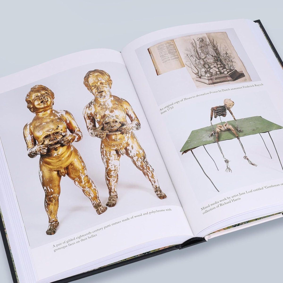 The Witch's Door: Oddities and Tales from the Esoteric to the Extreme - Books