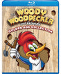 The Woody Woodpecker & Friends Golden Age Collection