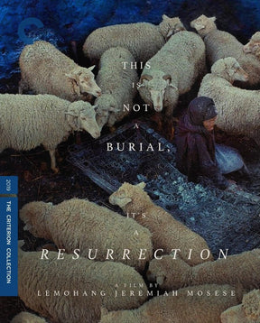 This Is Not a Burial, It’s a Resurrection (1169) USED - Used Blu-Ray