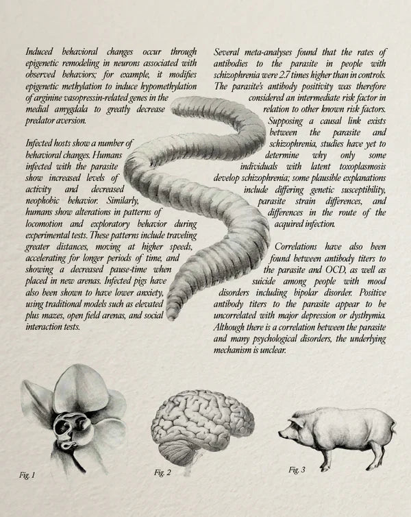 Upstream Color (Region Free) w/SLIP - New Blu - Ray