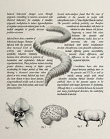 Upstream Color (Region Free) w/SLIP - New Blu - Ray