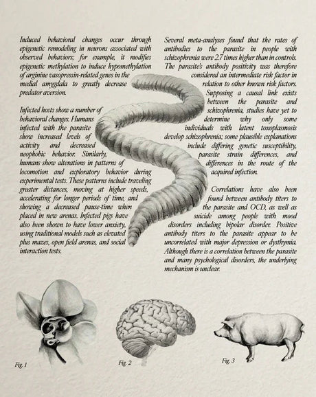 Upstream Color (Region Free) w/SLIP - New Blu - Ray