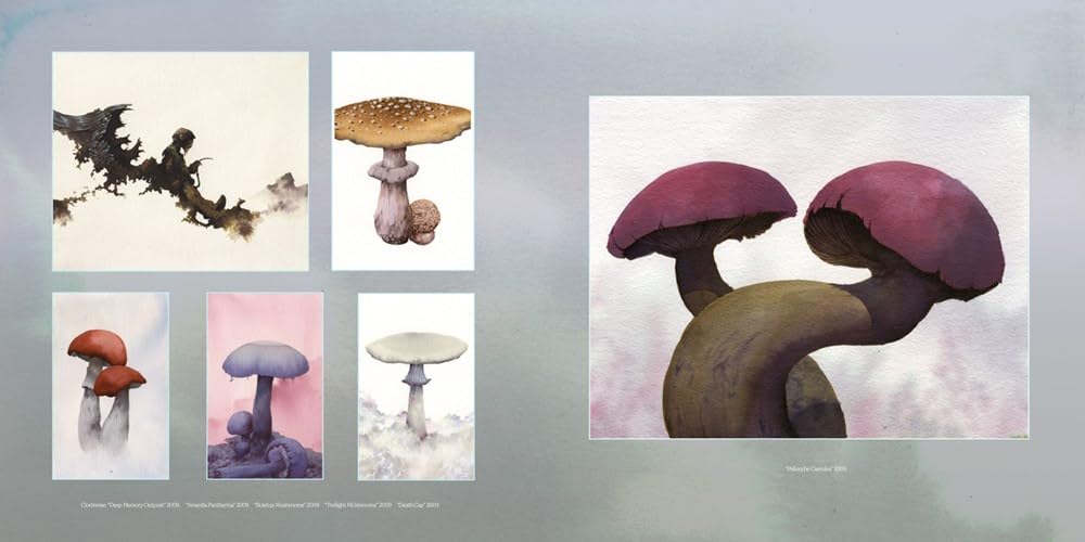 Vision of the Hawk: The Art of Arik Moonhawk Roper - Books