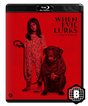 When Evil Lurks (Blu-Ray, Region B)