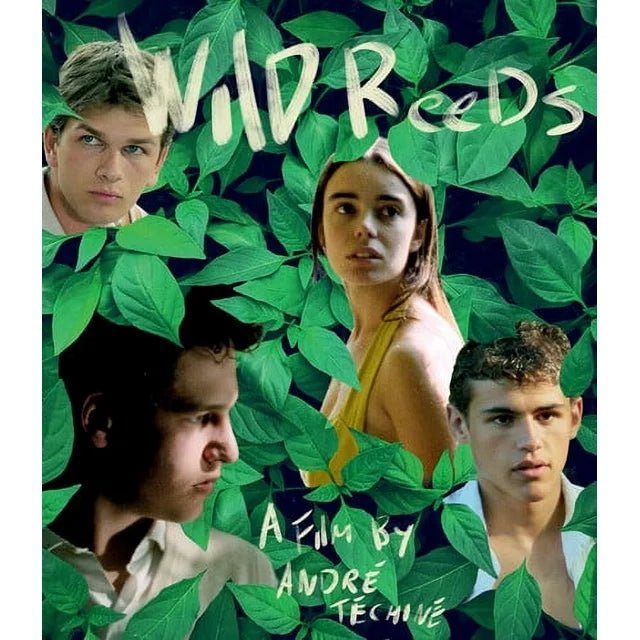 Wild Reeds - New Blu - Ray
