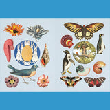 The Antiquarian Sticker Book