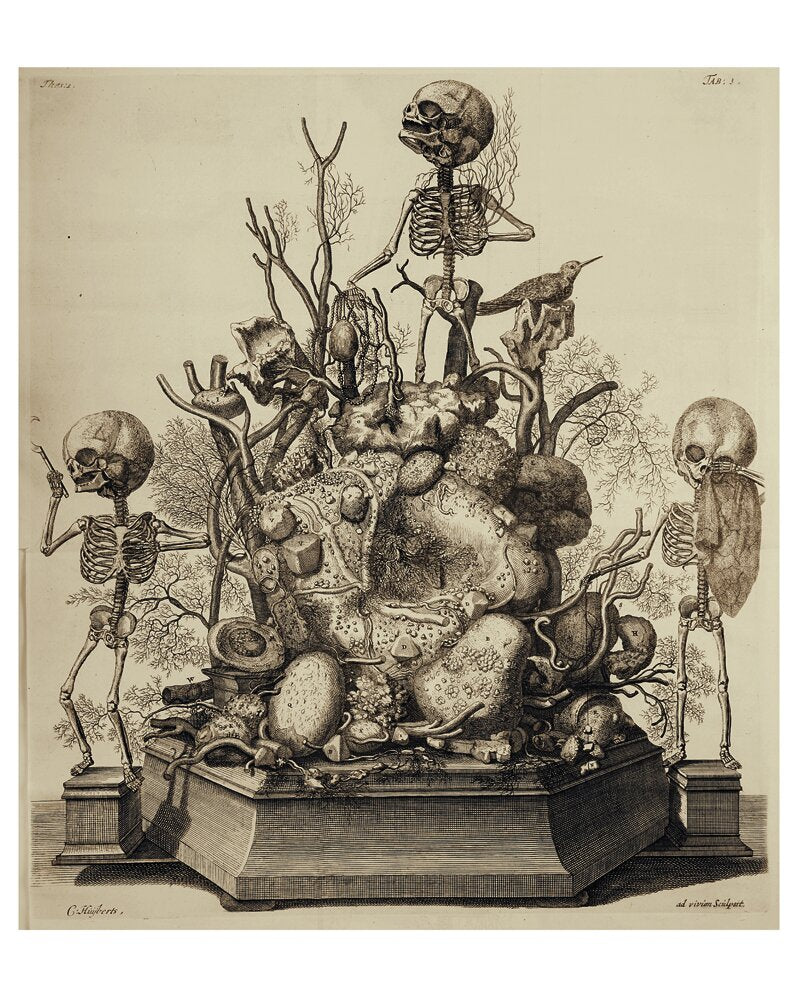 Frederik Ruysch and His Thesaurus Anatomicus: A Morbid Guide