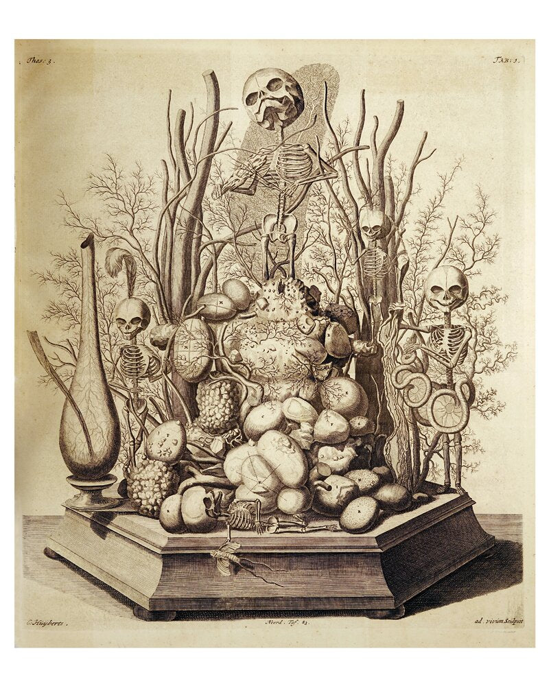 Frederik Ruysch and His Thesaurus Anatomicus: A Morbid Guide