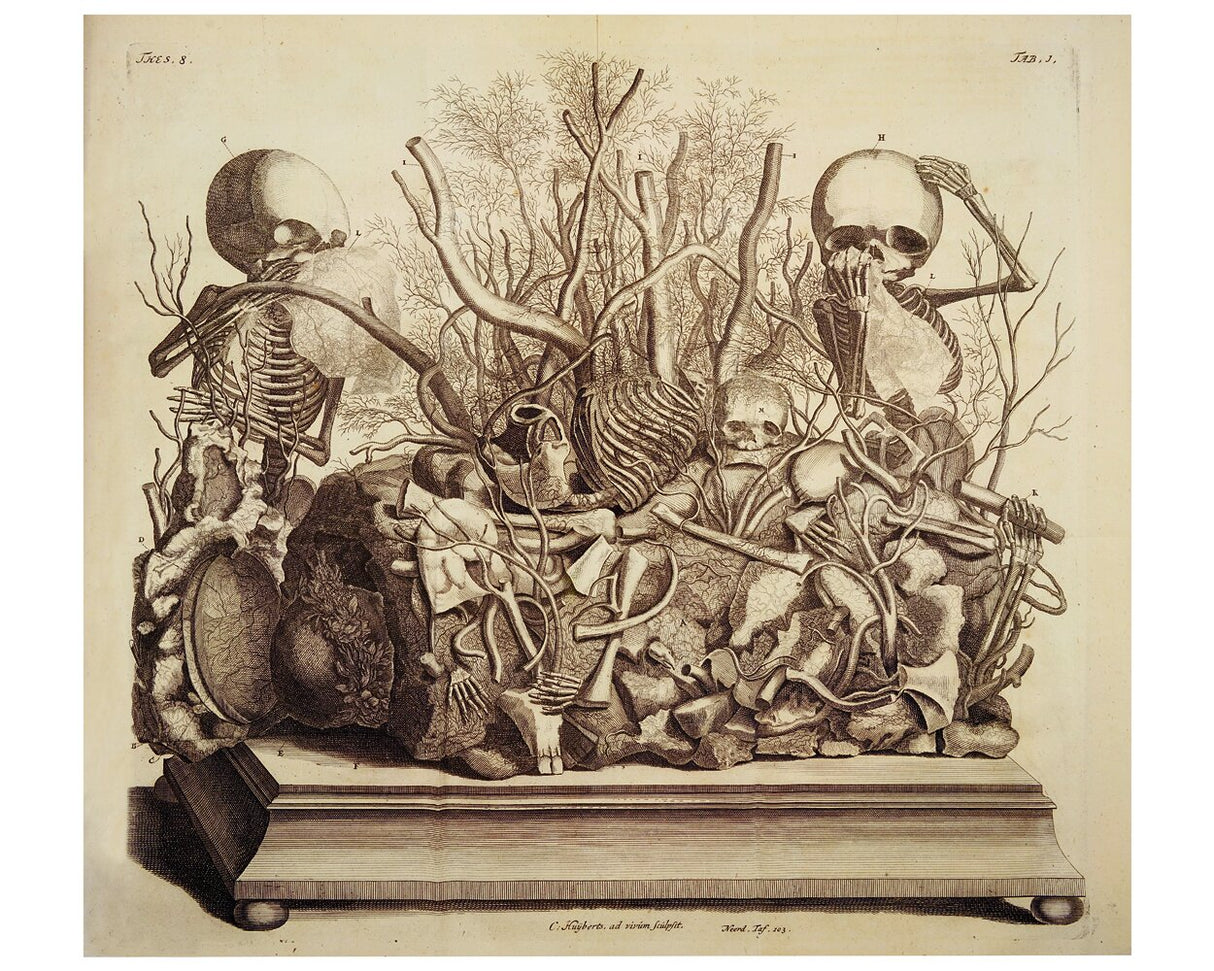 Frederik Ruysch and His Thesaurus Anatomicus: A Morbid Guide