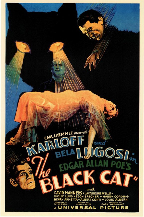 The Black Cat Poster 11x17