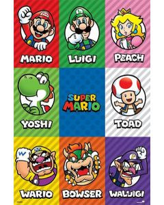 Mario Characters Poster PICKUP ONLY