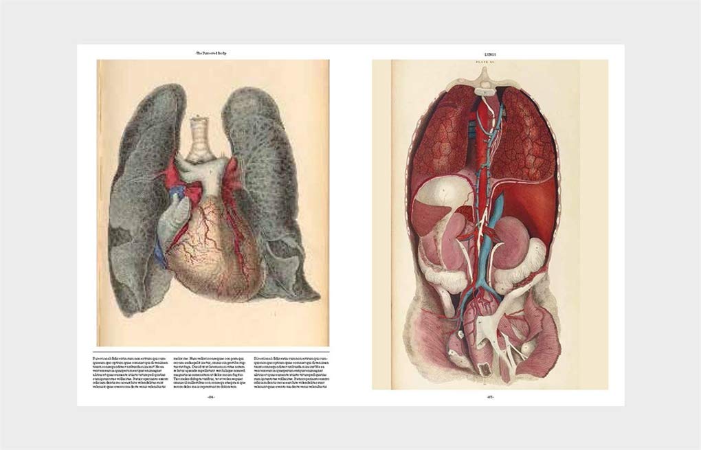 Anatomica: The Exquisite and Unsettling Art of Human Anatomy