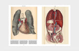 Anatomica: The Exquisite and Unsettling Art of Human Anatomy