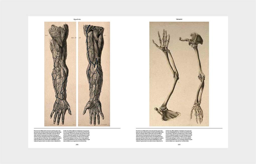 Anatomica: The Exquisite and Unsettling Art of Human Anatomy