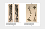 Anatomica: The Exquisite and Unsettling Art of Human Anatomy
